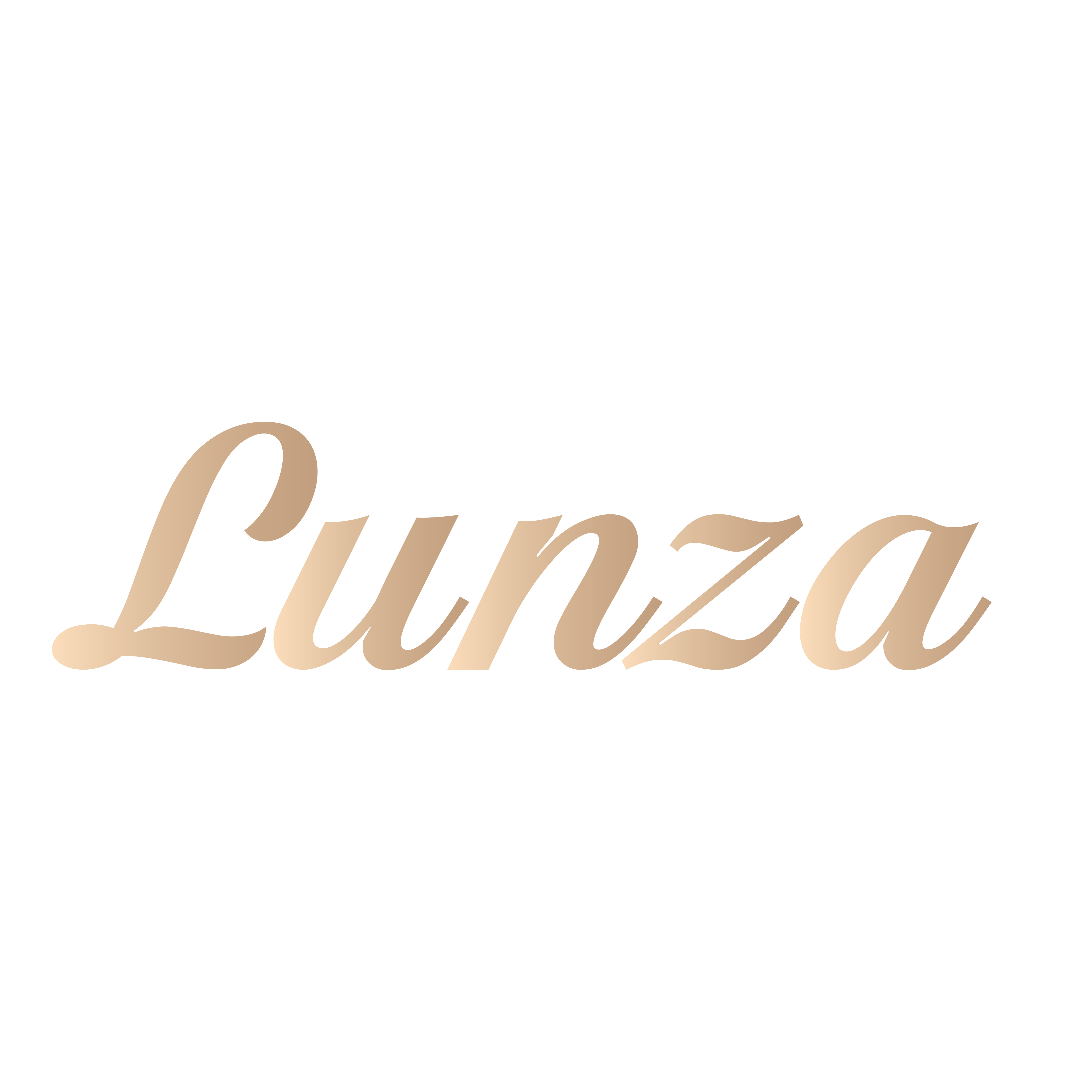 Lunza Logo